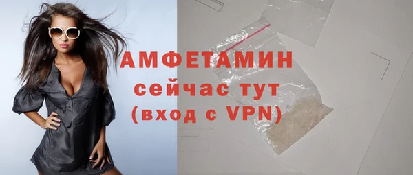 сатива Верея