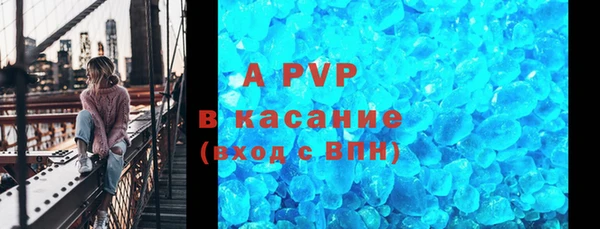 сатива Верея