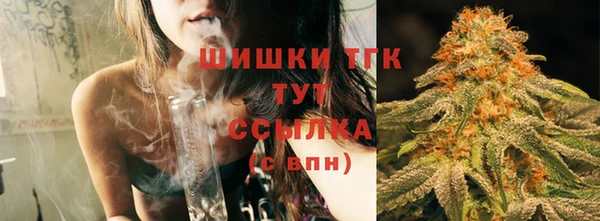 сатива Верея