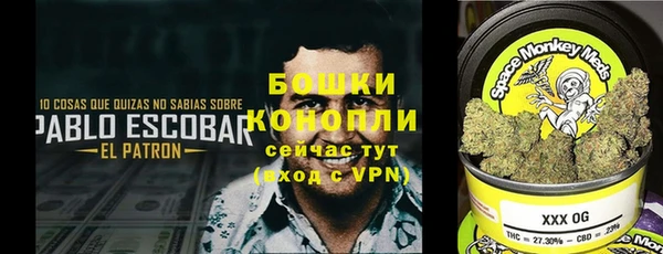 стаф Володарск