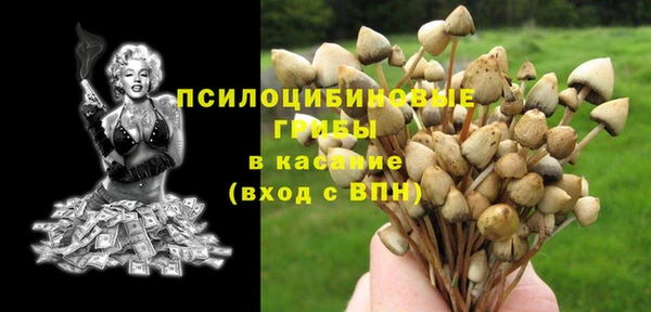 сатива Верея
